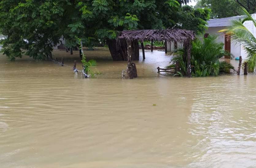 छत्तीसगढ़ में आफत की बारिश: गावों में बाढ़ जैसे हालात, 66 लोगों को किया रेस्क्यू, आज भी भारी बारिश की चेतावनी