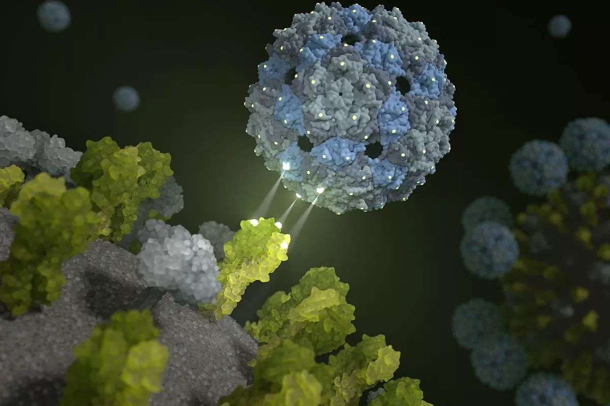 Covid-19: अब वैज्ञानिक कोरोना वायरस को हराएंगे अपने बनाये वायरस से