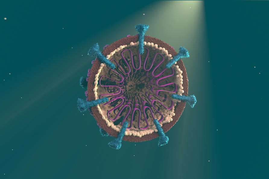 Covid-19: अब वैज्ञानिक कोरोना वायरस को हराएंगे अपने बनाये वायरस से