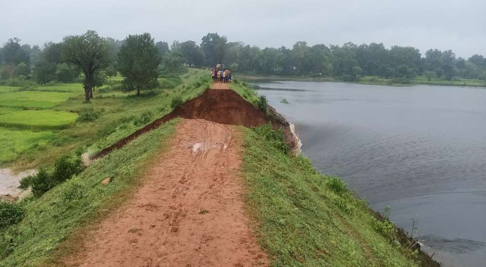 बांध टूटने से 14.5 हेक्टेयर धान की फसल चौपट, 3 गांव के किसान प्रभावित, पानी बहने के बाद मछली पकडऩे उमड़े लोग
