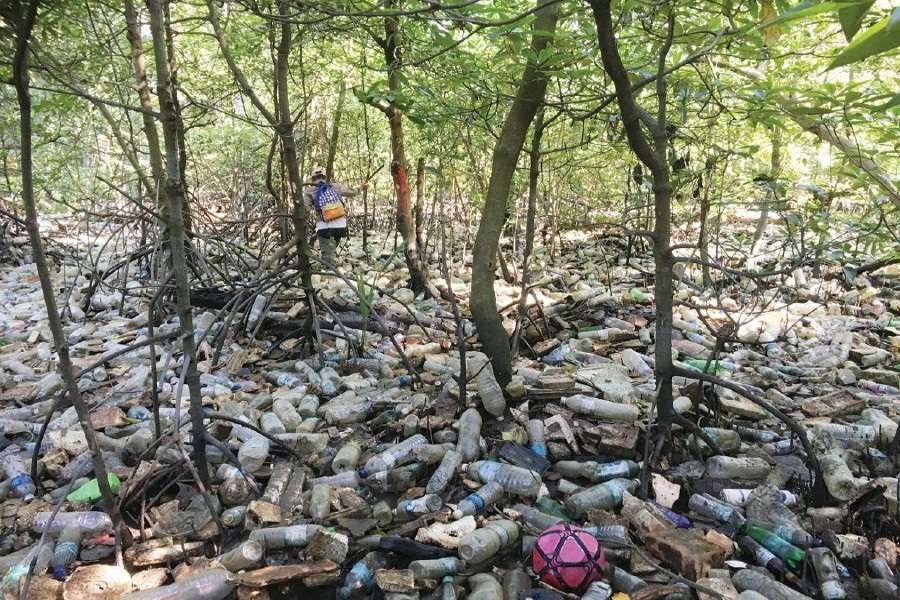 Sundarvan in another thread: अम्फान के बाद अब सुंदरवन पर गहराता प्लास्टिक कचरा का खतरा