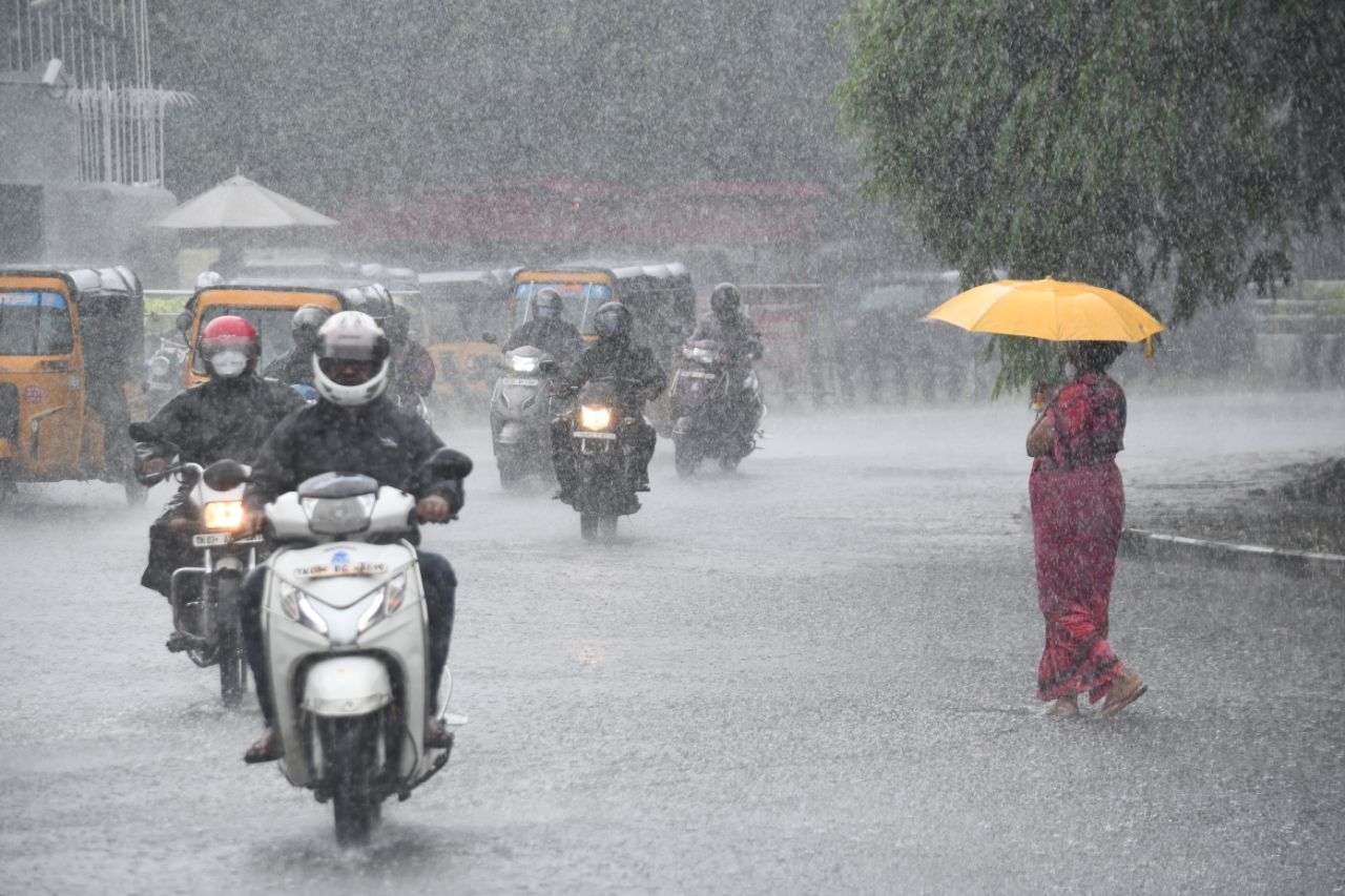 Monsoon arrives Mandla, Seoni, jabalpur reach in 48 hours