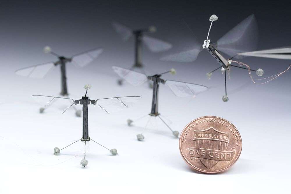 भारतीय वैज्ञानिक बना रहा कीटों से प्रेरित ड्रोन जो जगह के अनुसार खुद को सिकोड़ भी सकेगा