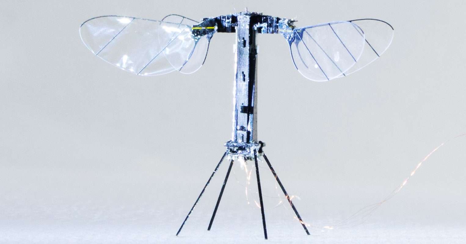 भारतीय वैज्ञानिक बना रहा कीटों से प्रेरित ड्रोन जो जगह के अनुसार खुद को सिकोड़ भी सकेगा