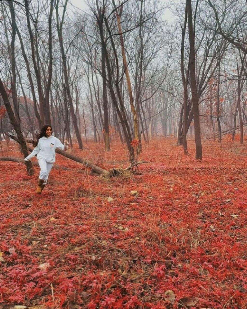 जाह्नवी कपूर ठंड में ले रही पंजाब के मौसम का लुत्फ, जंगल में नजर आई यह अदा