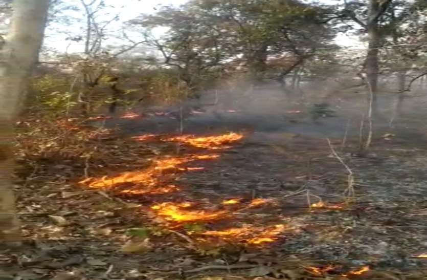 मानपुर जंगल में लगी भयंकर आग, समय रहते कैंप में तैनात ITBP जवानों ने पाया काबू नहीं तो जल जाता सबकुछ