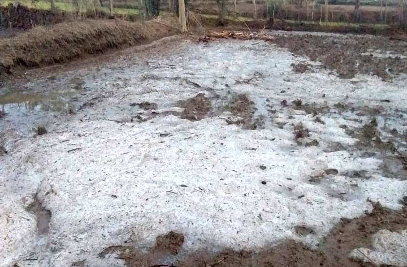 अप्रैल के महीने में आसमान से गिरने लगी बर्फ, ग्रामीणों ने कहा 50 साल में ऐसी भयानक ओलावृष्टि नहीं देखी