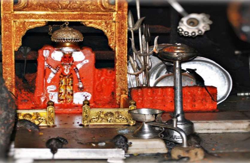 Rajasthan Karni Mata Temple