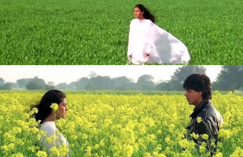 mistakes_in_movies_ddlj.png
