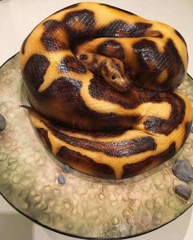 snake_cake.jpg