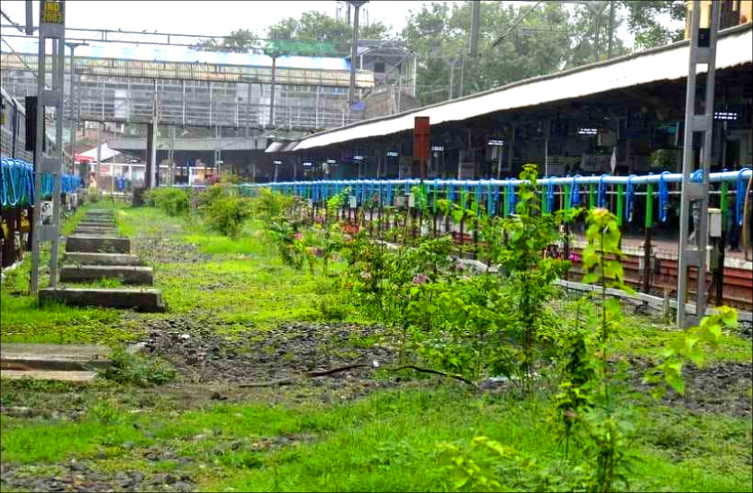 ये कोई गार्डन नहीं बल्कि है रेलवे स्टेशन, पहली बार रेलवे ने किया अनोखा प्रयोग