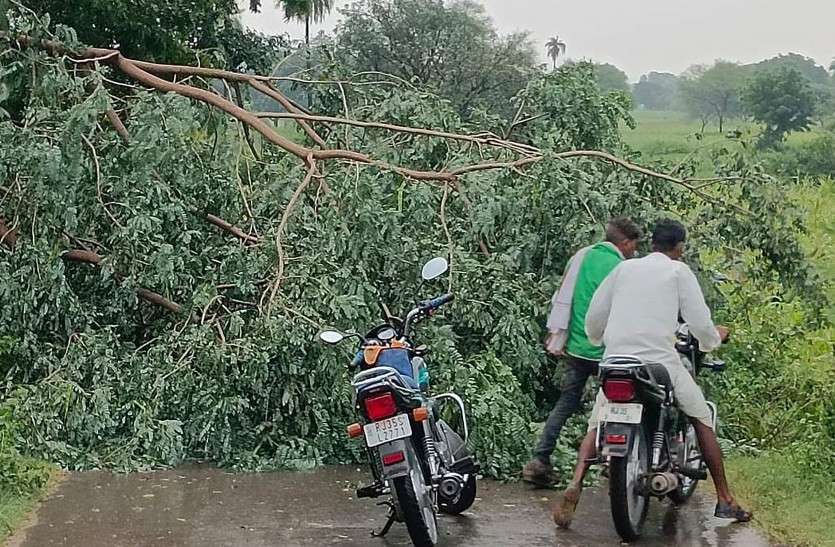 राजस्थान में जमकर बरसे मेघ, आकाशीय बिजली गिरने से 5 की मौत, 11 जिलों में बारिश का येलो अलर्ट