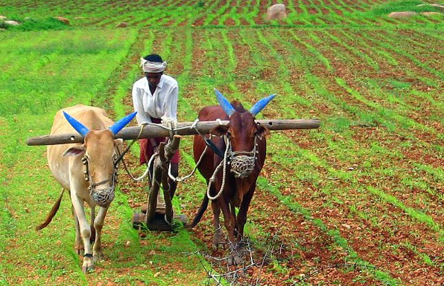 Farming insurance india