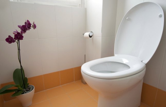 Toilet in home