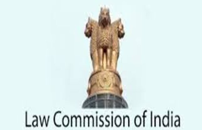 law commission 