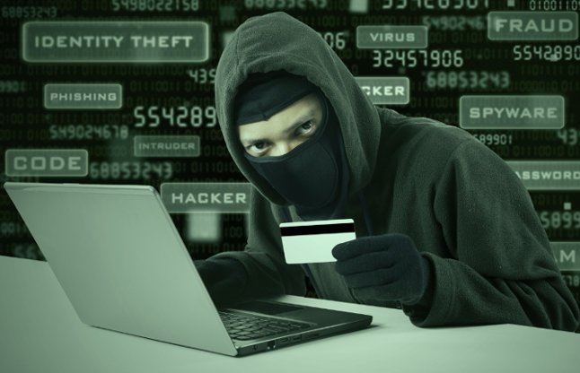 Hackers made Online fraud