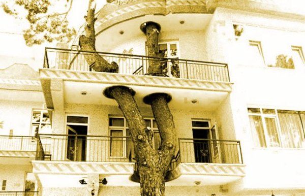 weird building photos in the world 