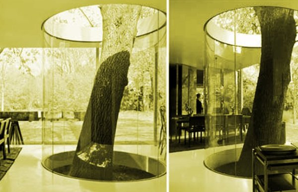 weird building photos in the world 