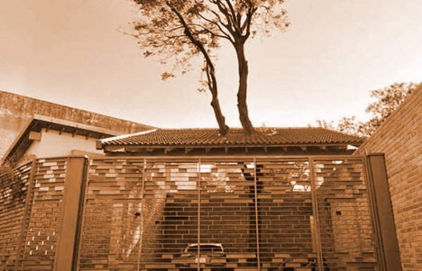  weird building photos in the world 