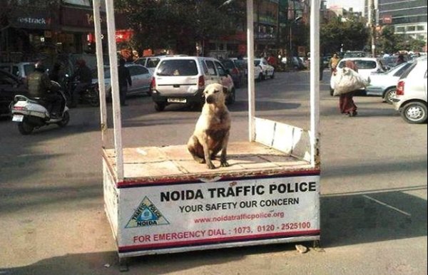 top 10 unique photos of india 