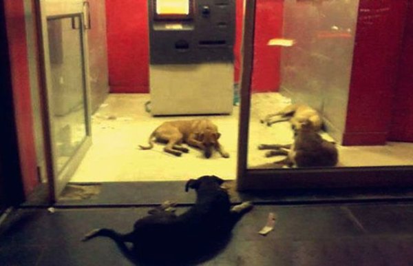 top 10 unique photos of india 