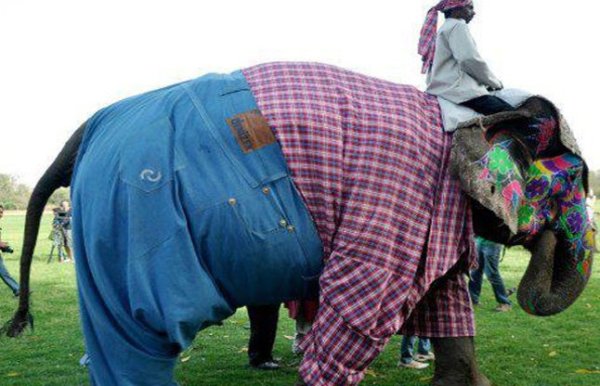 top 10 unique photos of india 