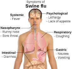 sawin flu