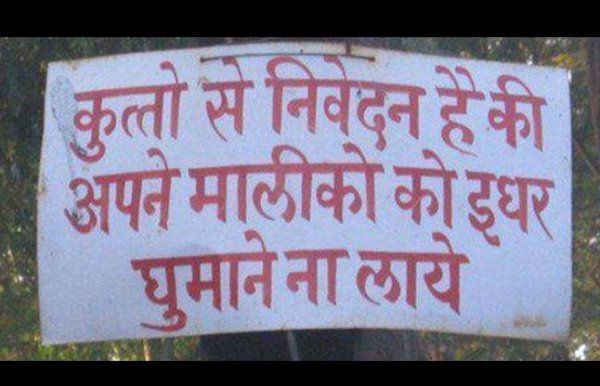top 10 funny quotes on indian walls 