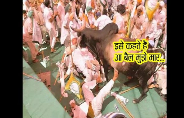 funny comedy cartoons on whats app