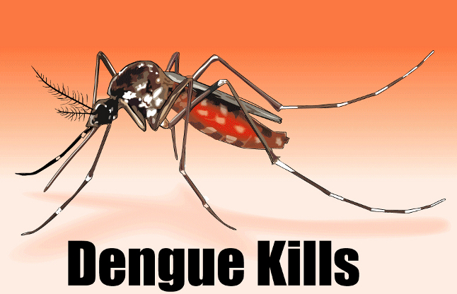 Dengue Patient Recorded 