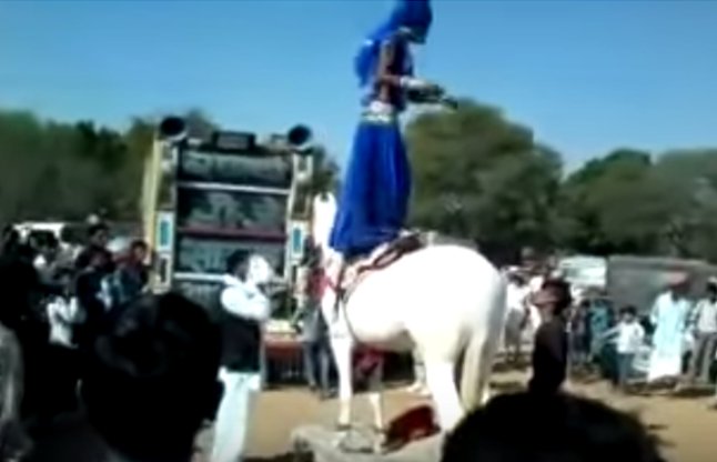 Rajasthani Girl Dancing On Horse video 