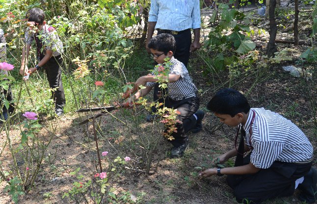 agricultural education