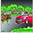 tiger, kaliyasot dam, sanskar valley school