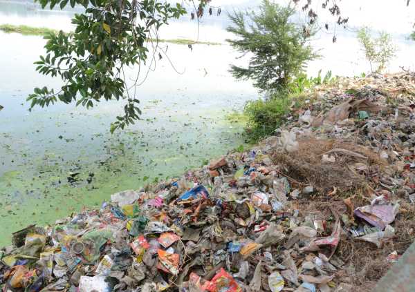 environmental damage in bhopal