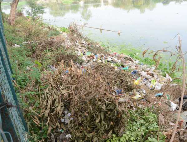 environmental damage in bhopal