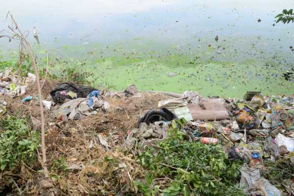 environmental damage in bhopal