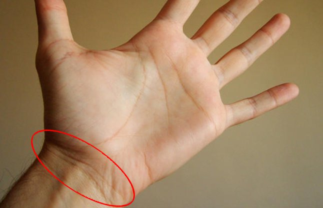 MAnibandh Lines in palmistry