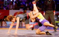 Pro wrestling league