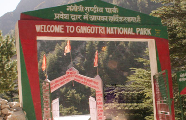 Gangotri National Park