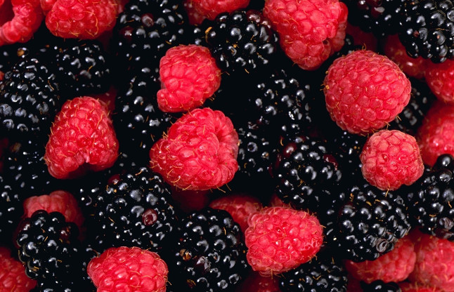 Blackberry Fruit
