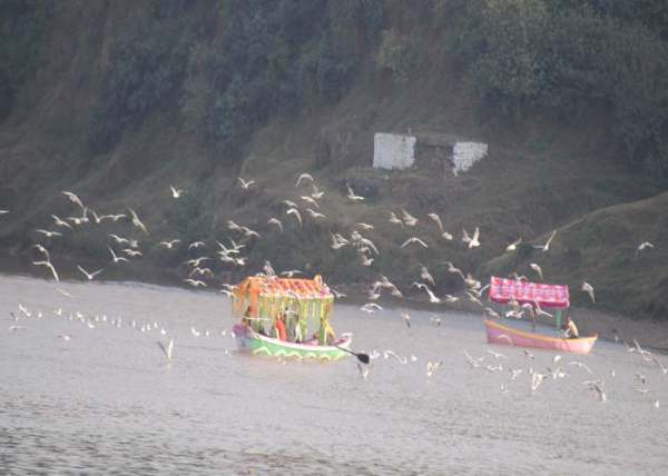 Narmada   