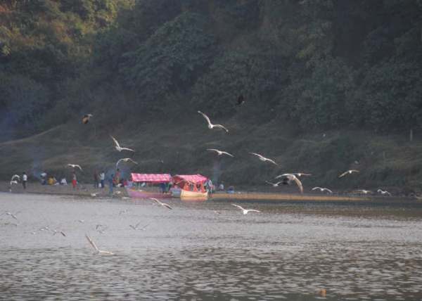 Narmada