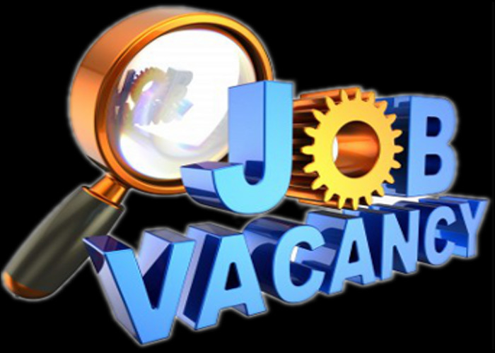 Job Vacancy in Haryana