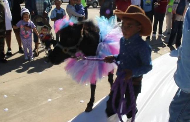 5-Year-Old boy Wedding with a Pony
