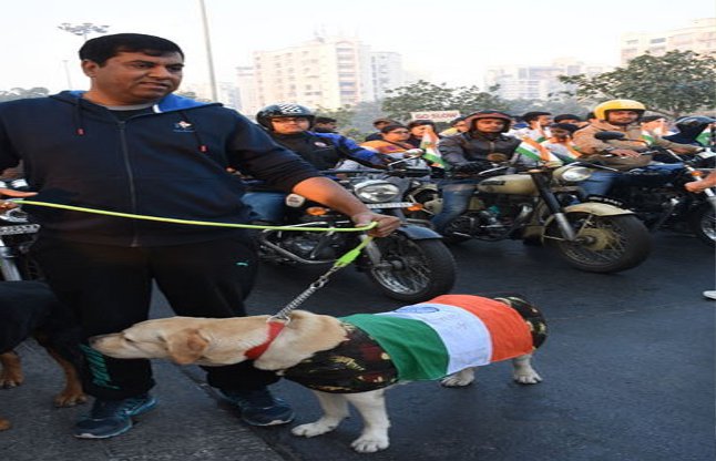 Man insulted national flag on pet run in surat