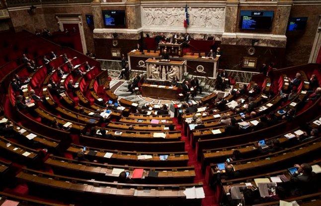 French parliament