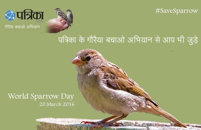 world sparrow day