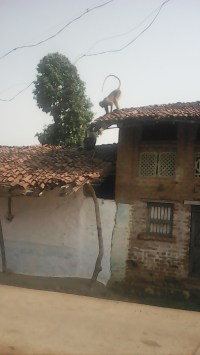 balaghat