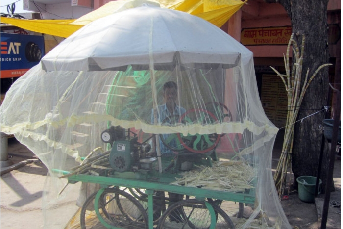 Latest News,Social Media,juice,Buffalo,mosquitoes,