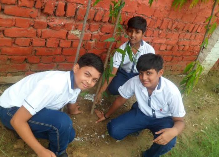 Tree Plantation Hardoi